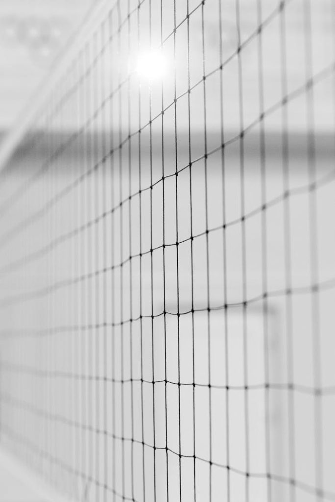 Detailed black-and-white close-up of a volleyball net in an indoor setting.